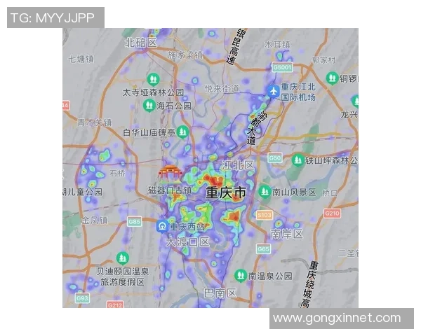 重庆排球队与杭州排球队赛后战术分析与复盘探讨