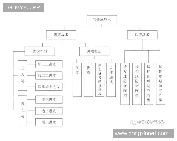南京排球队的转换打法深度分析与战术创新探讨